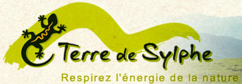 Terre de Sylphe : association d'accompagnateurs en montagne dans les Vosges 