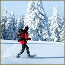 Sorties en raquettes à neige dans les Vosges