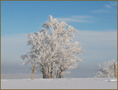 Randonner en hiver dans les Vosges